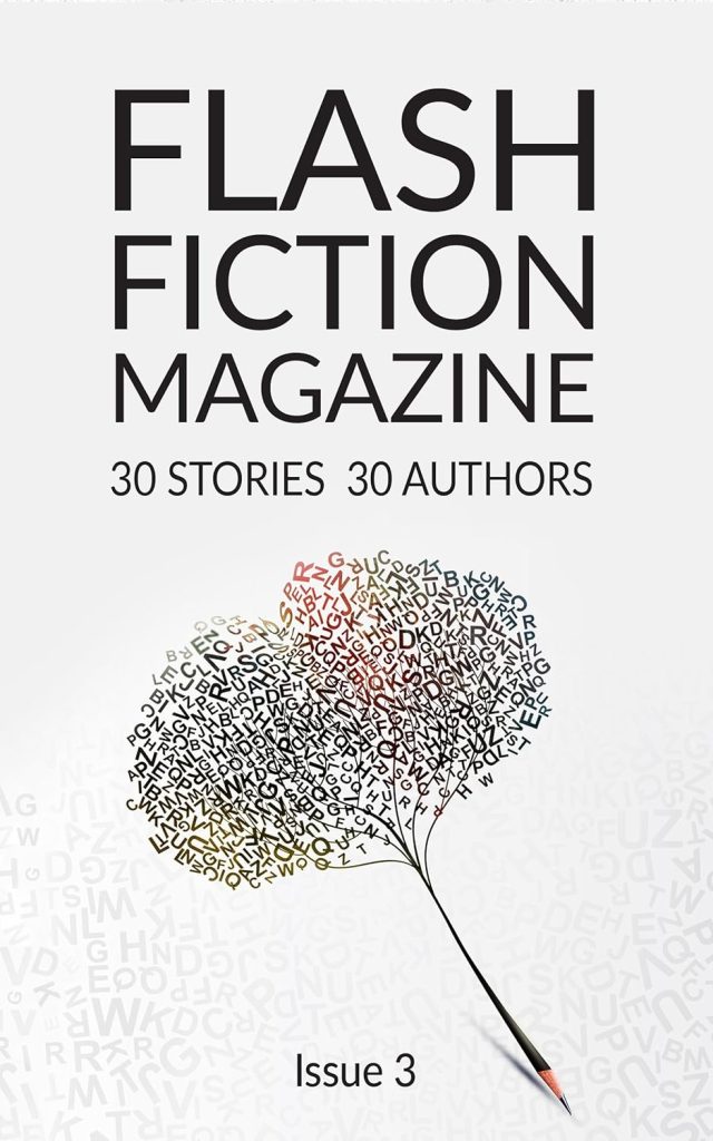 Flash Fiction Magazine cover