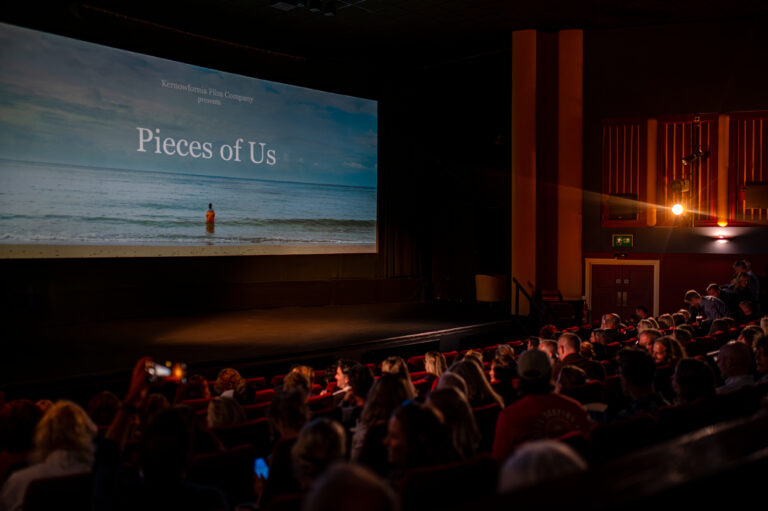 Entry #2: Reflections of a Screenwriter on Opening Night